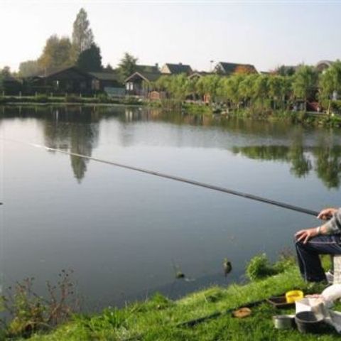 Recreatiepark Klein Strand - Camping West-Vlaanderen - Afbeelding N°4