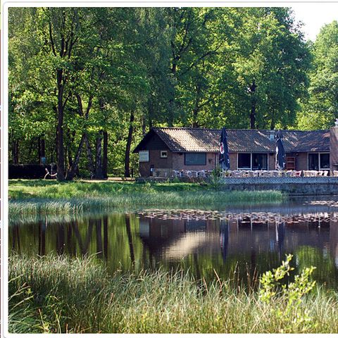 Vakantiepark 't Vosseven - Camping Weert - Afbeelding N°3
