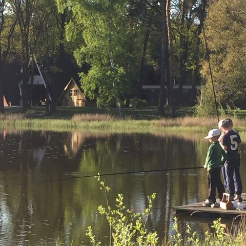 Vakantiepark 't Vosseven - Camping Weert - Afbeelding N°2