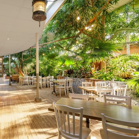 Center Parcs Limburgse Peel - Horst aan de Maas - Afbeelding N°3