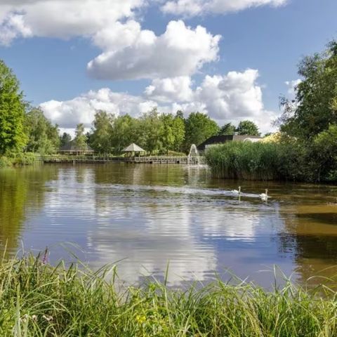 Center Parcs Limburgse Peel - Camping Horst aan de Maas - Afbeelding N°3