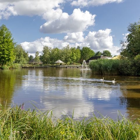 Center Parcs Limburgse Peel - Horst aan de Maas - Afbeelding N°6