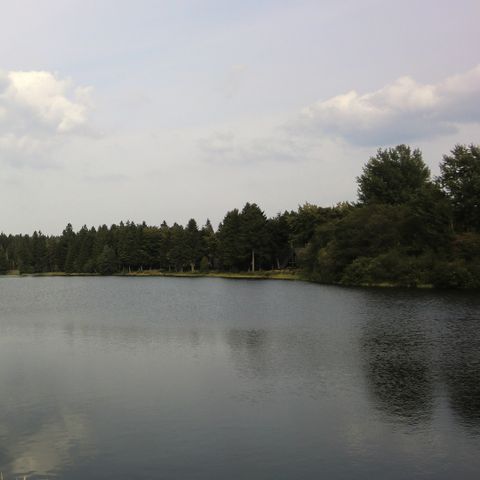 Ferienpark Harz am Waldsee - Camping Nedersaksen - Afbeelding N°4