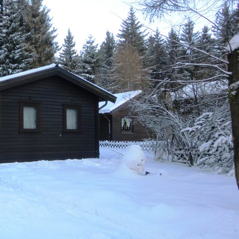 Ferienpark Harz am Waldsee - Camping Nedersaksen - Afbeelding N°6