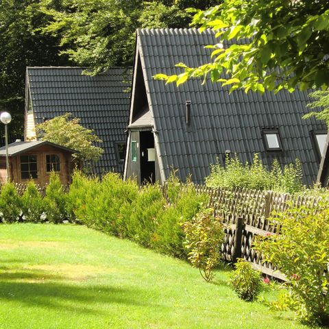 Ferienpark Harz am Waldsee - Camping Nedersaksen - Afbeelding N°5