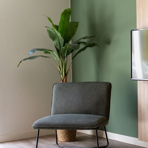 Bungalow 6 personen - H6A Comfort