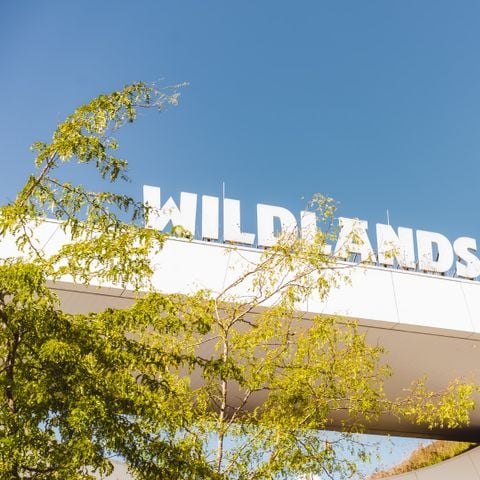 Landal Vakantiepark Hunzedal - Borger-Odoorn - Afbeelding N°5