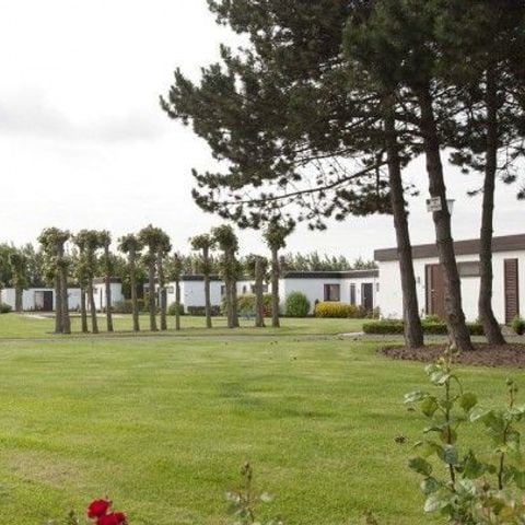 Jonckershof - Camping West-Vlaanderen - Afbeelding N°5