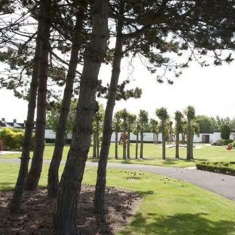 Jonckershof - Camping West-Vlaanderen - Afbeelding N°6