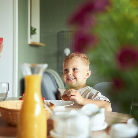 Bungalow 6 personen - Das incl. entree Safaripark Beekse Bergen