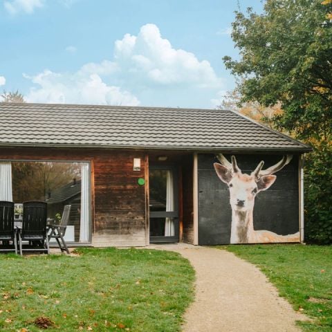 Bungalow 6 personen - Damhert incl. Sauna