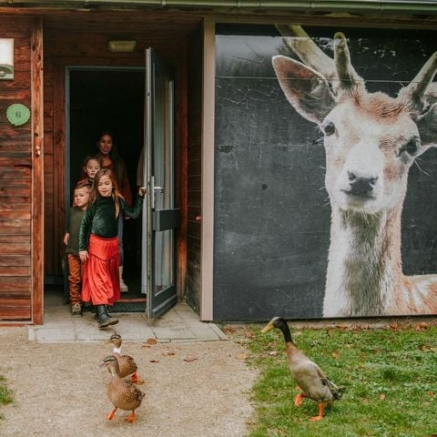 Bungalow 6 personen - Kidsbungalow Damhert incl. Sauna