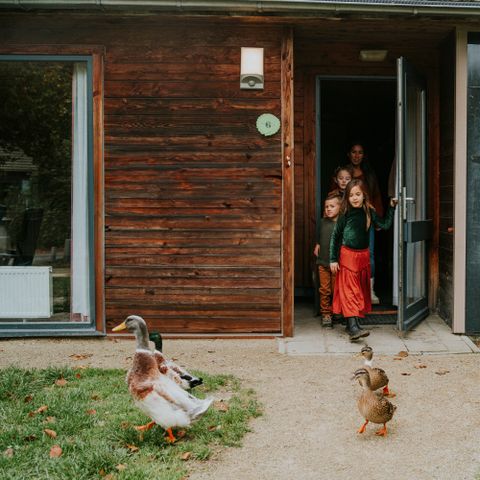 Bungalow 6 personen - Damhert Kids incl. sauna en incl. entree Safaripark Beekse Bergen