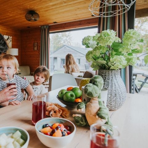 Bungalow 6 personen - Damhert Hottub & Sauna incl. entree Safaripark Beekse Bergen