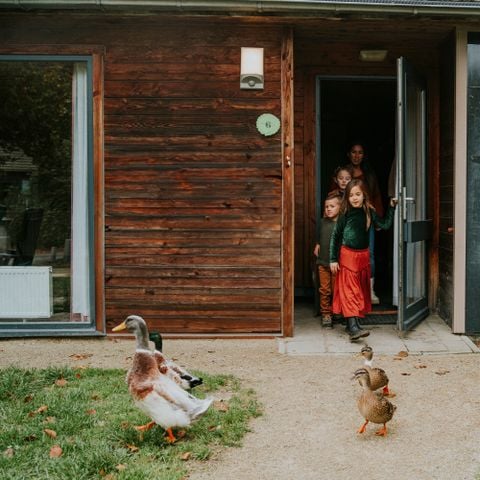 Bungalow 6 personen - Damhert Sauna & Hottub