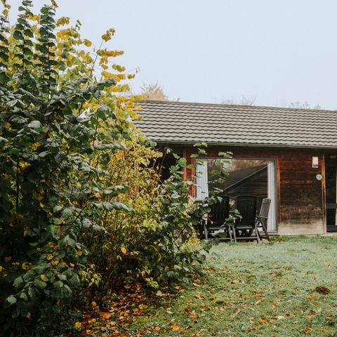 Bungalow 6 personen - Damhert Hottub & Sauna incl. entree Safaripark Beekse Bergen