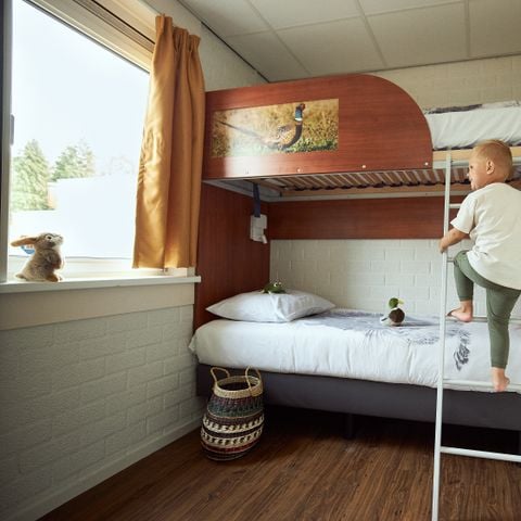 Bungalow 4 personen - Fazant