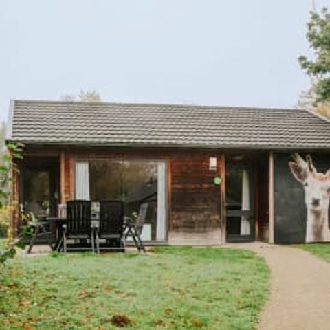 Bungalow 6 personen - Kidsbungalow Damhert incl. Sauna & Hottub