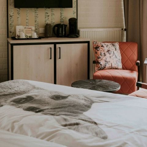 Studio 2 personen - Kamer Vlinder