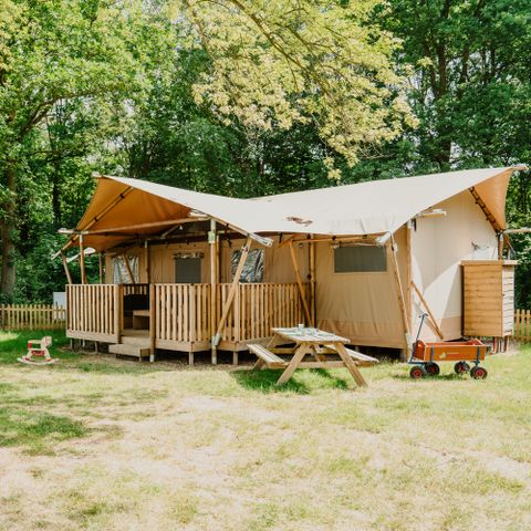 Vakantiepark Dierenbos - Camping Meierijstad - Afbeelding N°3