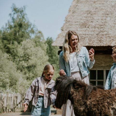 Vakantiepark Dierenbos - Camping Meierijstad - Afbeelding N°5