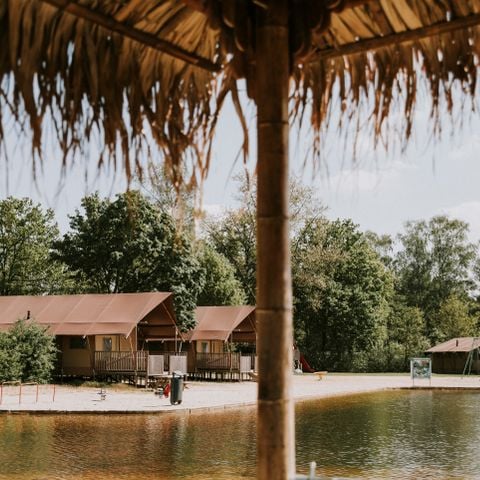 Vakantiepark Dierenbos - Camping Meierijstad - Afbeelding N°5