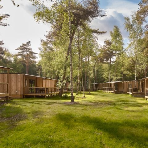 Chalet 5 personen - Forest Cabin