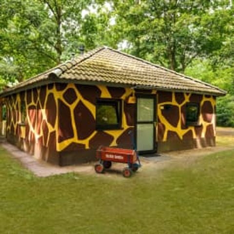 Bungalow 5 personen - Forest Jungalow Kids - gerenoveerd
