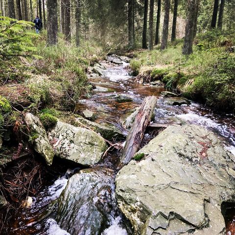 Camping Oos Heem - Luik - Afbeelding N°6