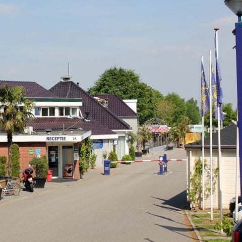 Vakantiepark De Oude Molen - Camping Dal en Berg - Afbeelding N°3