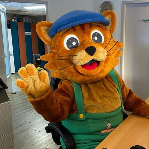 Vakantiepark De Oude Molen - Camping Dal en Berg - Afbeelding N°2