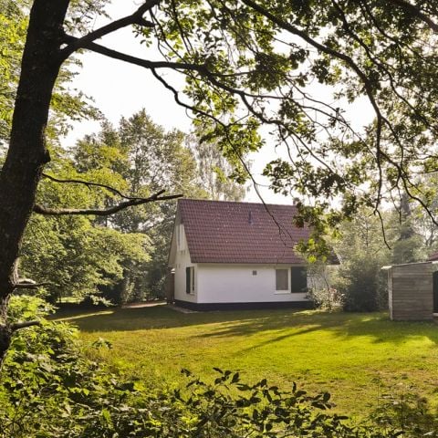 Summio Bungalowpark Het Drentse Wold - Camping Midden-Drenthe - Afbeelding N°6