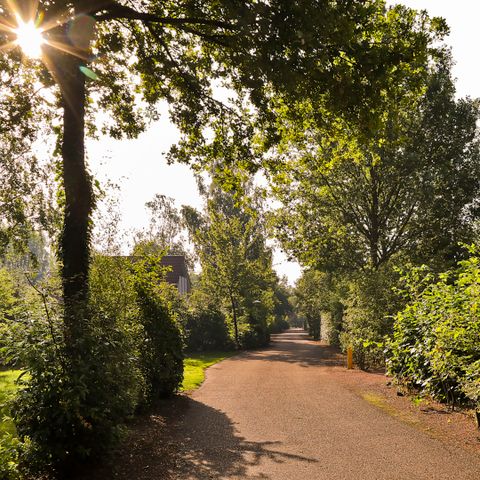 Summio Bungalowpark Het Drentse Wold - Camping Midden-Drenthe - Afbeelding N°6