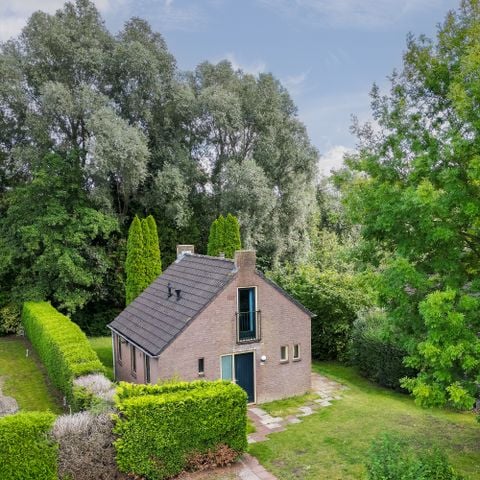 Bungalow 6 personen - Forest 231