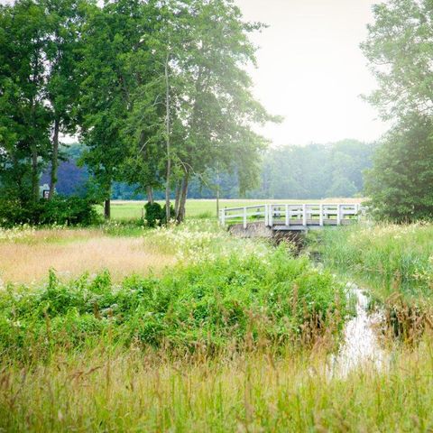 Landschapspark Striks Erve - Camping Staphorst - Afbeelding N°5