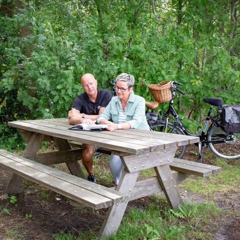 Landschapspark Striks Erve - Camping Staphorst - Afbeelding N°4