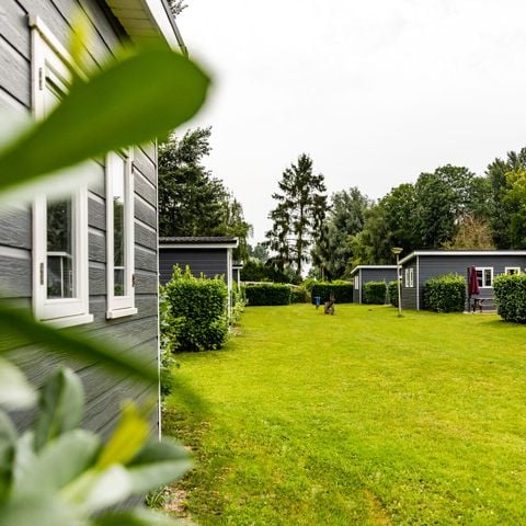 Recreatiepark De Scherpenhof - Camping Voorst - Afbeelding N°4