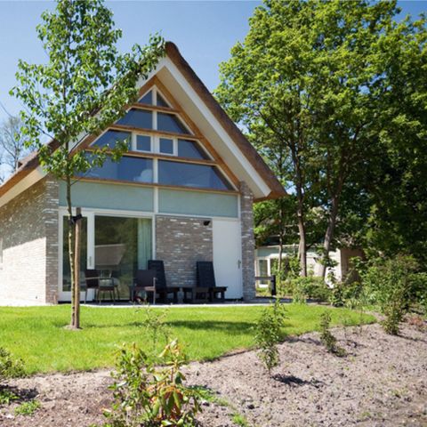 Summio Buitenplaats de Marke van Ruinen - Camping De Wolden - Afbeelding N°4