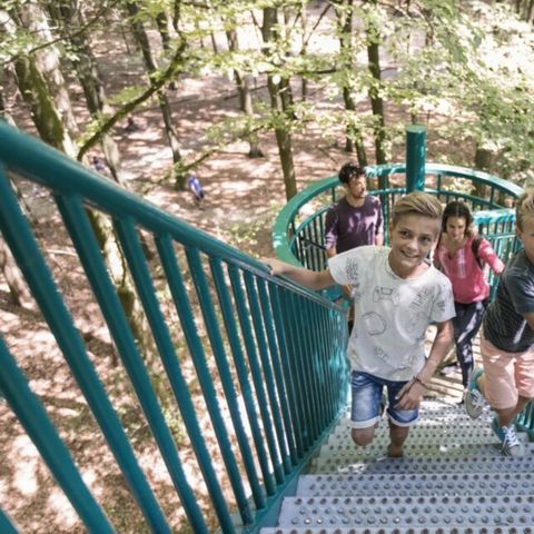 Summio Buitenplaats de Marke van Ruinen - Camping De Wolden - Afbeelding N°5