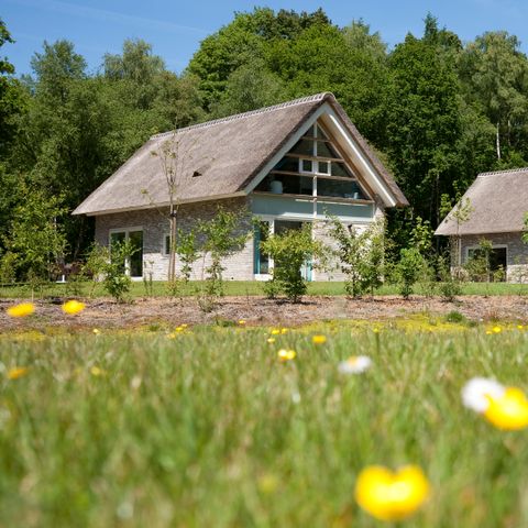 Summio Buitenplaats de Marke van Ruinen - Camping De Wolden - Afbeelding N°2