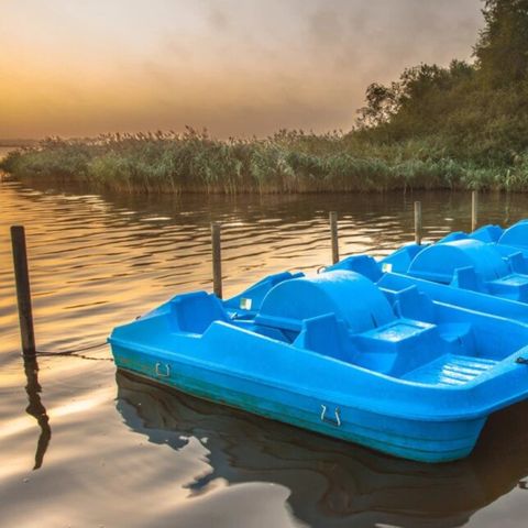 Summio Buitenplaats de Marke van Ruinen - Camping De Wolden - Afbeelding N°4