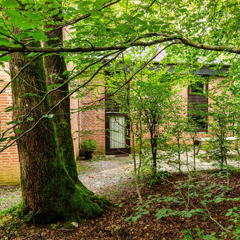 Bungalow 6 personen - Bosbessenpad 5 - Het Blauwe huisje