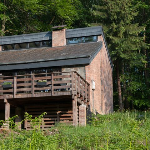 Bungalow 6 personen - Bosvioolpad 6 - Bosviooltje