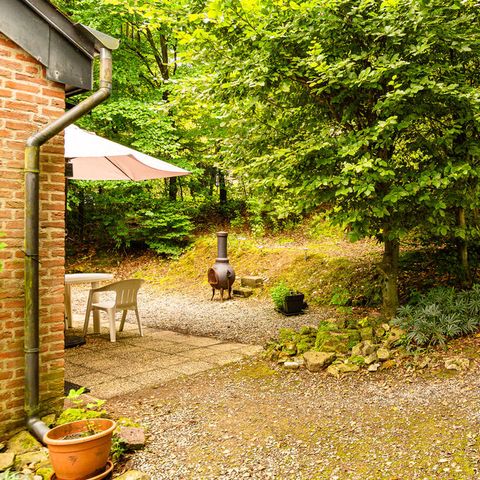 Bungalow 6 personen - Bosbessenpad 2