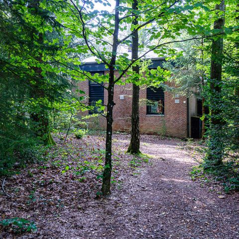 Bungalow 6 personen - Bosbesplein 1