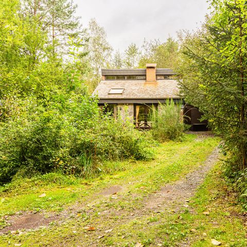 Bungalow 6 personen - Berkenweg 6