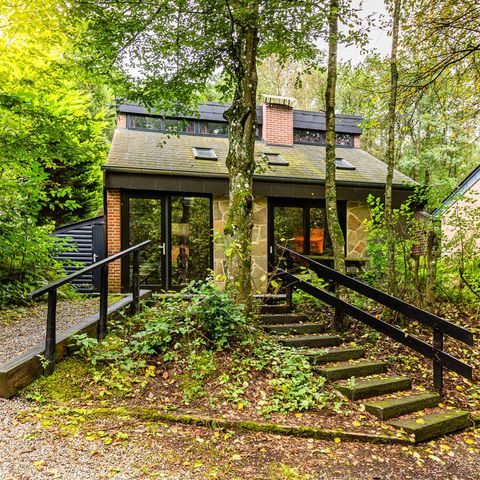 Bungalow 4 personen - Varenpad 6