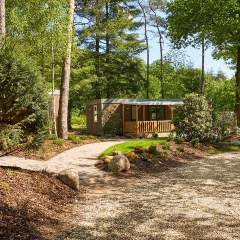 Bungalow 6 personen - Boslodge Luxe