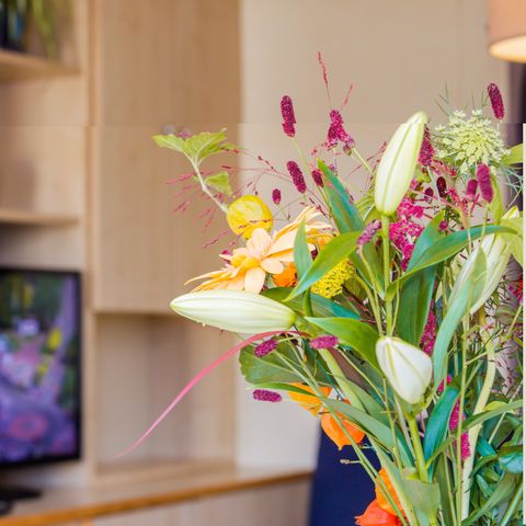 Chalet 5 personen - Huisdier welkom (max. 3 adults)