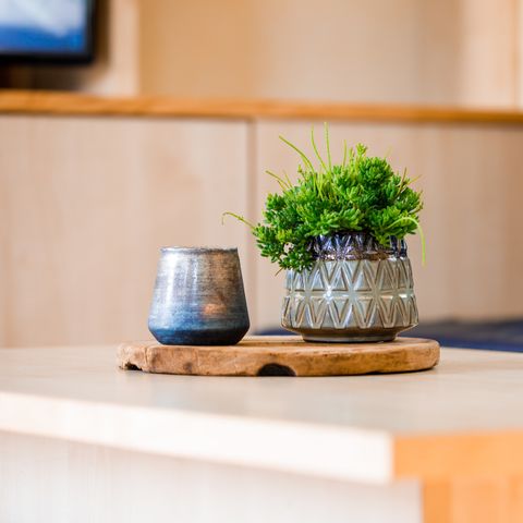 Chalet 5 personen - Huisdier welkom (max. 3 adults)